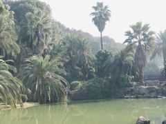 -圣爵菲斯大酒店(长沙世界之窗店)