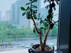 -瓦库茶馆17号(海汇港店)