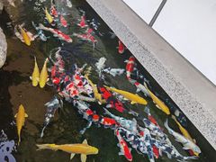 -贵阳高新惠诚食品有限公司