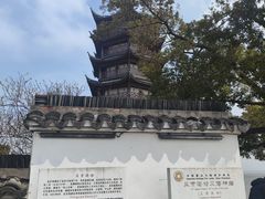 -观潮胜地公园
