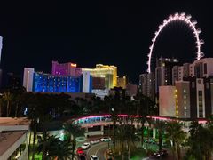 -拉斯维加斯永利酒店