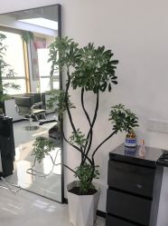 -V7 HAIR SALON