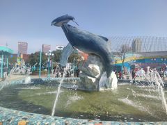 -海合安武汉极地海洋公园