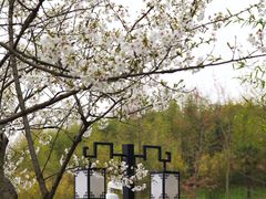 -共青国家森林公园-售票处