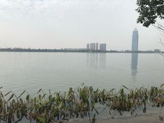 -桐乡凤凰湖