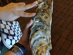 生蚝-土蚝·高压锅生蚝(百姓美食街店)