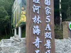 -汤旺河林海奇石景区
