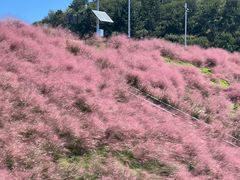 -沂蒙云瀑洞天景区