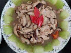 -田螺阿姨自营月嫂·育儿嫂(高新店)