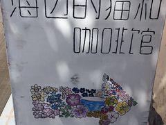 -海边的猫和咖啡馆