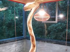 -恬阿姨庭院餐厅·生日宴