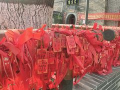 -洛阳周公庙博物馆