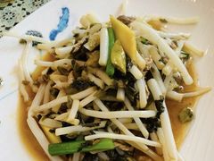 芦苇根雪菜炒肉丝-华庭苑农家乐(旺山店)