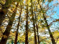 -国家植物园南园