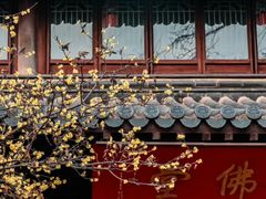 -灵谷景区