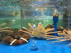 -琼菜人家·海南菜·文昌鸡(文昌大道店)