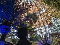 -中国西峡恐龙遗迹园