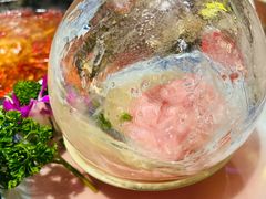 冰川鹅肠-蜀大侠火锅(建设路第五大道店)