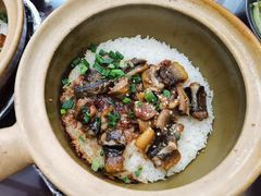 -红星光发煲仔饭(文海店)