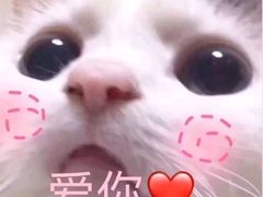 -沐渔二手奢侈品黄金手表包包回收·中古店(广州塔店)