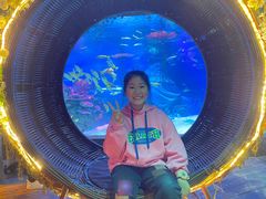 -沈阳海洋探索中心