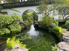 -上海醉白池公园