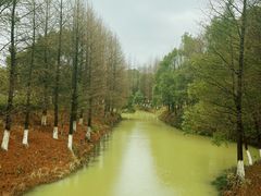 -八大山人梅湖景区