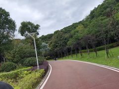 -飞凤山奥体公园