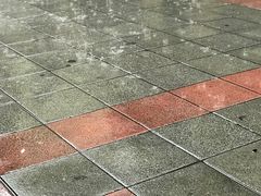 -椰爺爺·椰子冻砵仔糕