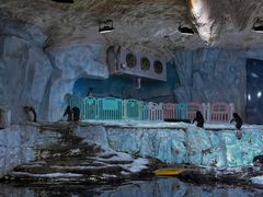 -海合安青岛极地海洋公园