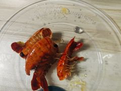 -大哈福烧烤·海鲜·家常菜(延安三路店)