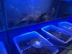 -8号公馆(金川街店)