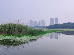 -月湖风景区