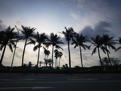 -霞山观海长廊