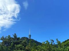 -梧桐山风景名胜区