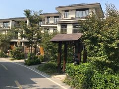 -田园东方蜜桃村的田野营地