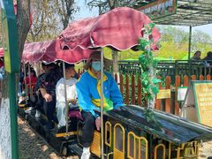 -盈香心动乐园