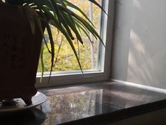 -19号私房菜(云南路店)