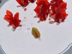 -柿合缘新京菜(国金中心商场店)