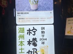 -猫的魔法密林(衣裳街店)