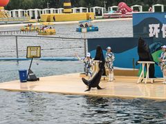 -秦皇岛乐岛海洋王国