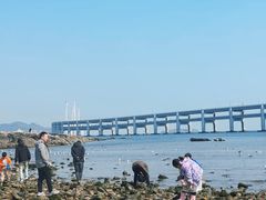 -黑石礁公园
