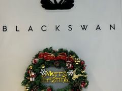-BLACKSWAN黑天鹅(环球店)