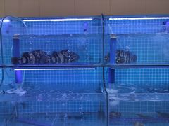 -前王院•巧克力海鲜市集餐厅(万平口店)