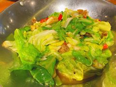 包菜-有红鸡毛店·川菜(建设路店)