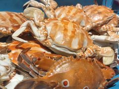 -凯利酒店自助餐(元美中路店)