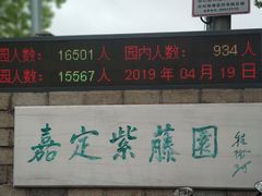 -嘉定紫藤园