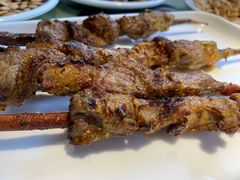 红柳烤肉-撒拉花儿·新疆菜·清真(太阳宫店)