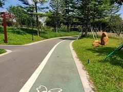 -王借岗森林公园