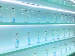 点击看大图 -P.STYLE 派斯造型